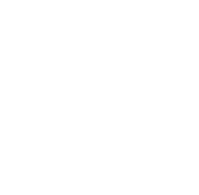 Vector