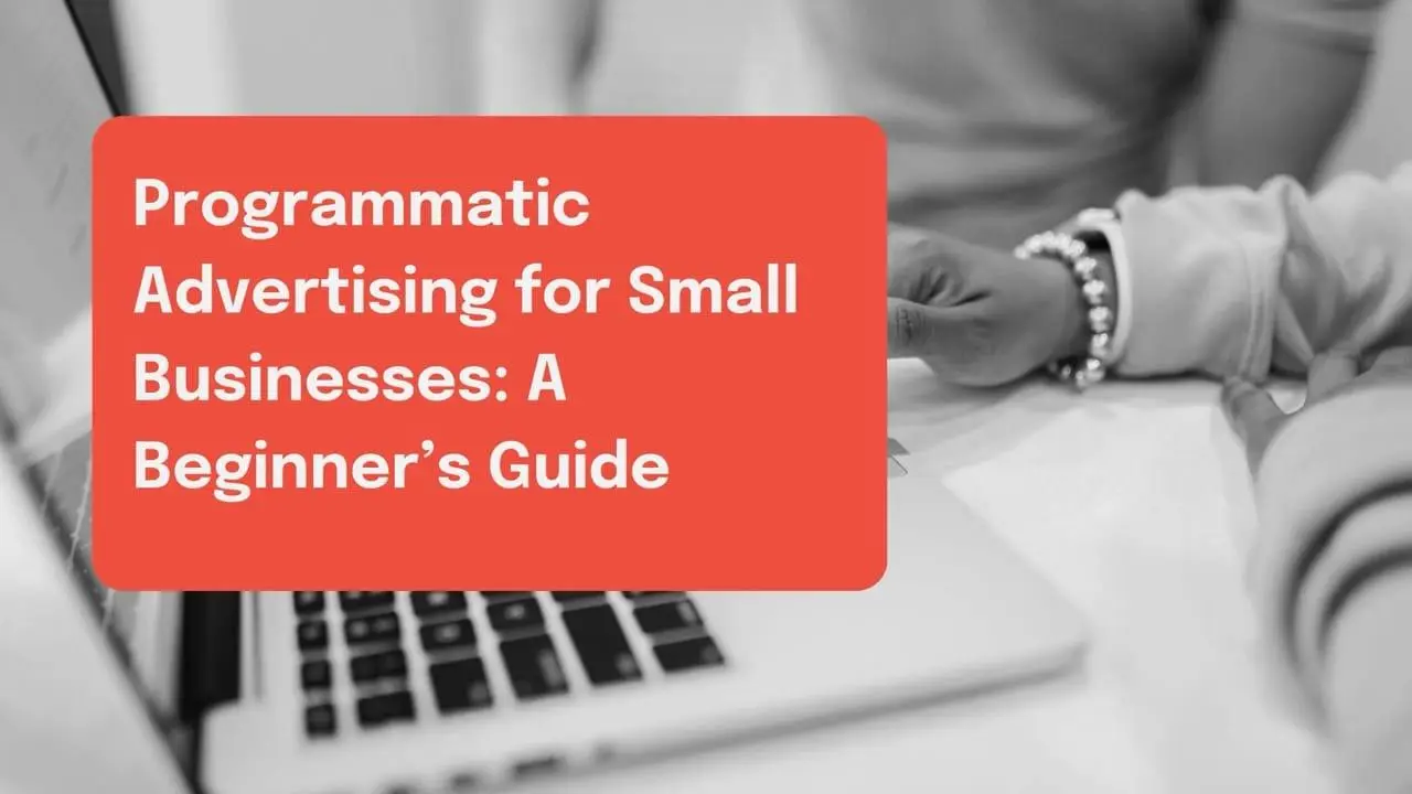 Copy of Copy of Blog banner - Programmatic Advertising for Small Businesses: A Beginner’s Guide